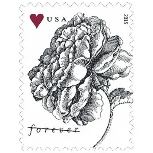 2015 Engraved Vintage Rose Forever First Class Stamps
